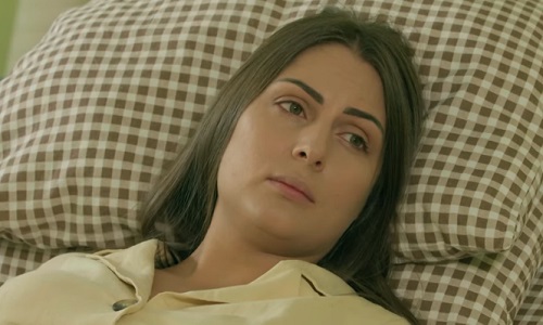 Tsaghikner Dzyan Tak - Episode 139