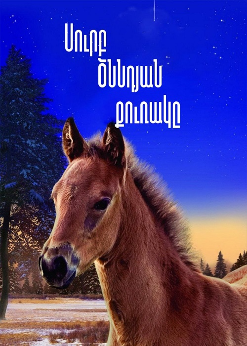 Սուրբ Ծննդյան քուռակը (2013)