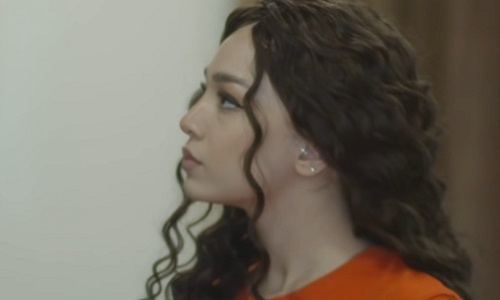 Сртин Акарак - Серия 137